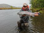 losos kisuc - coho salmon