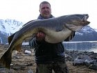 Kvenangen-Jokelfjord, treska obecna 147 cm, 26,4 kg, cerven