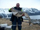 Kvenangen-Jokelfjord, treska obecna 24 kg, cerven