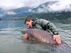jeseter 250 cm, Richard, rijen
