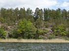 Syrsan - chaty v borovém lese nad skalnatým brehem