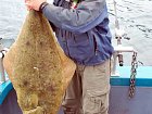 halibut 27 kg