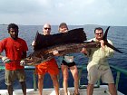 plachetnik - sailfish 250 cm