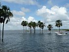 jezero - rybolov mezi zaplavenymi palmami