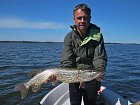 stika 82 cm, kveten v Nordqvist