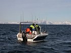 lod Kasbol delky 5,75 m s motorem 50 HP, v pozadi Lofoty - brezen