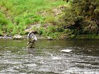 zdolavani lososa - Pauls river