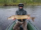 stika 95 cm ulovena na wobbler
