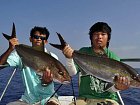 amberjack