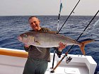 kranas jantarovy - amberjack 110 cm, 14 kg