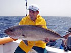 kranas jantarovy - amberjack 110 cm, 14 kg