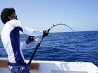 jigging - zdolavani ryby