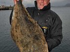 halibut - cerven