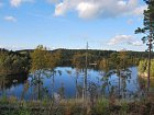 lesni jezero s duhaky, okouny a stikami