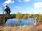 lesni jezero s duhaky, okouny a stikami