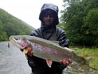 pstruh duhovy - rainbow trout  66 cm