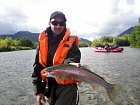 pstruh duhovy - rainbow trout