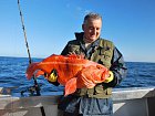 Afognak v zari - okounik, yelloweye rockfish 77 cm