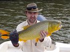 dorado delky 77 cm