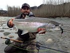 tazna forma pstruha duhoveho - steelhead, unorovy ulovek