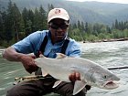 siven - bull trout, migrujici forma, cerven