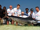 mecoun - blue marlin, 277 cm