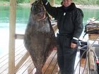 halibut 63 kg, cerven