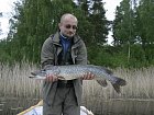 stika 81 cm z jezera Vindommen