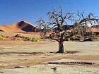 pisecne duny rezervace Sossuvlei