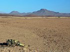 poustni rostlina welwitschia podivna