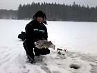 leden 2014 - cerstve uloveny duhak