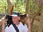 Terres Rouges - lemuri ze sousedniho ostrova