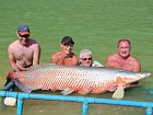 arapaima