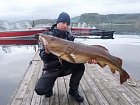 treska obecna 127 cm (17 kg) ulovena 15.6. na privlac (Savage Gear Cutbait Herring 270g)