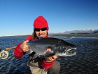 Aljaska - pobrezi Pacifiku v DryBay, lov lososu kisuc-coho