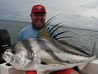 kohoutovec - roosterfish - pez gallo