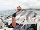 kohoutovec 38 kg - roosterfish - pez gallo