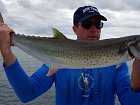 makrela - king mackerel ulovena na stickbait