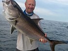 kranas - amberjack uloveny na jig