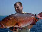 chnapal - red snapper 72 cm, 4,8 kg