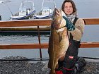 breznova treska z Vestfjordu