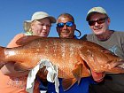 chnapal - cubera snapper 93 cm uloveny na popp