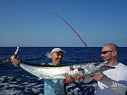 wahoo 115 cm - uloveno na trolling