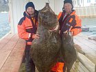halibut 80 kg