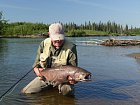 losos cavyca - king salmon 90 cm uloveny na streamer