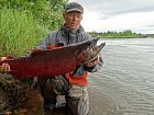 losos cavyca - king salmon 92 cm uloveny na privlac