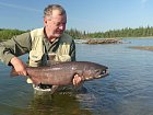 losos cavyca - king salmon uloveny na streamer