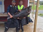 halibut 148 cm, 41 kg uloveny v Larseng