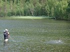 Myrset v cervenci - zdolavani lipana