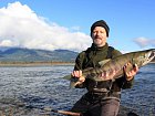 listopad na Fraseru - losos keta - chum salmon